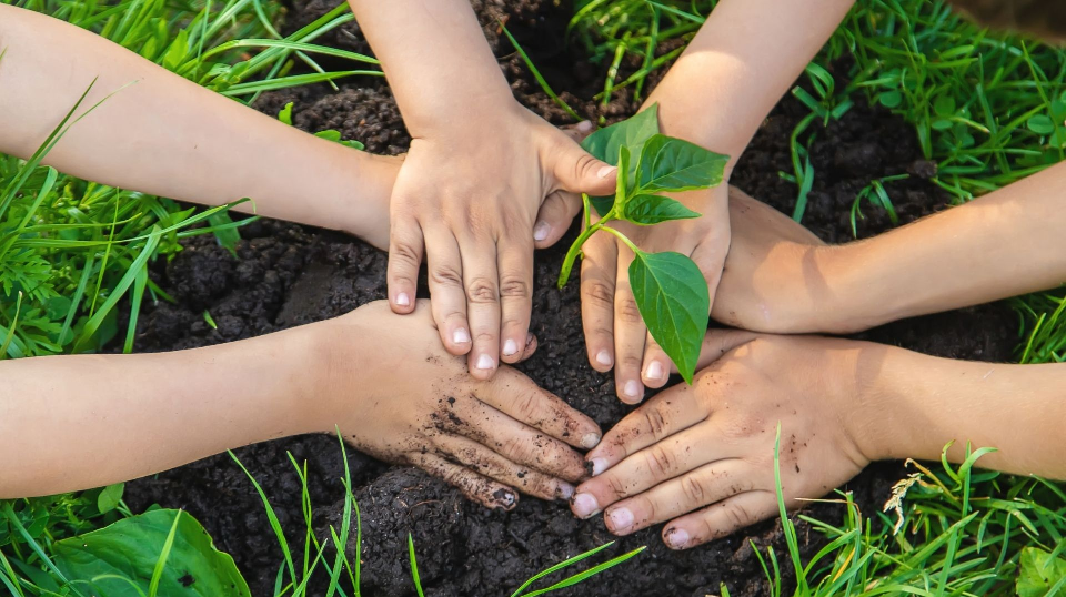 Ações Sociais Apc Ponta Grossa Edite aqui